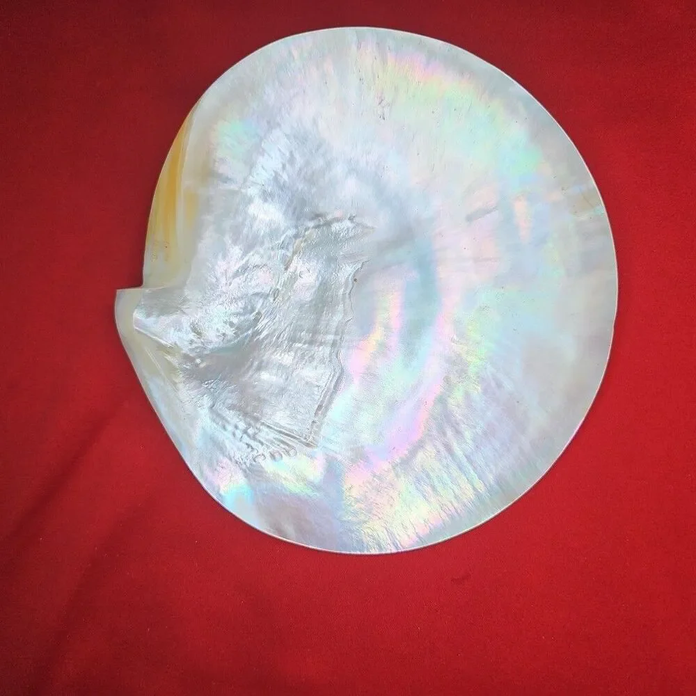 Mother of Pearl Caviar Snack Serving Plates & Knife Shell Polished Trinket